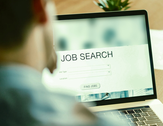 Career Job search